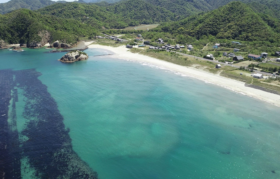 流砂系一貫の海岸設計